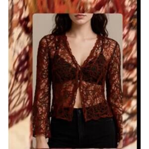Vintage Sheer Burnt Orange Embroidered Lace Mesh Button-Up Top Boho Whimsy Goth